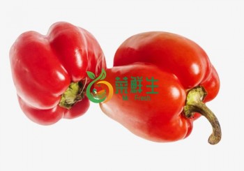 紅燈籠椒250g