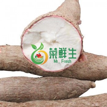 木薯500g