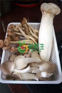 圖片 1