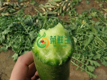 青蘿蔔1個