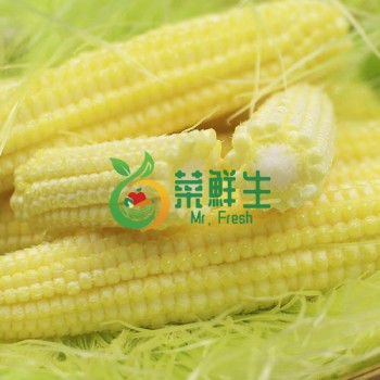 玉米芯250g