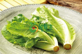 生菜500g
