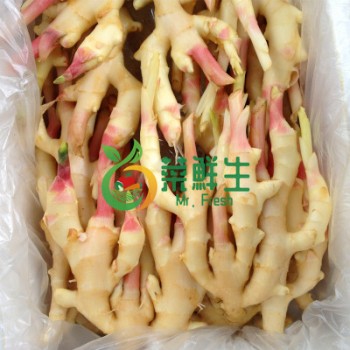 子薑500g
