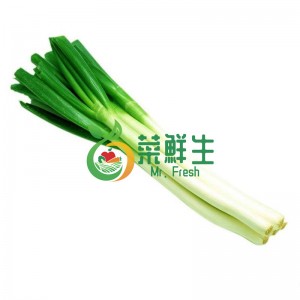 圖片 1