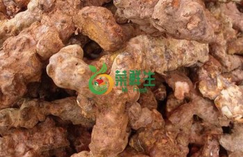 土茯苓250g