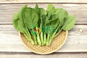 圖片 1