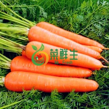 紅蘿蔔2根