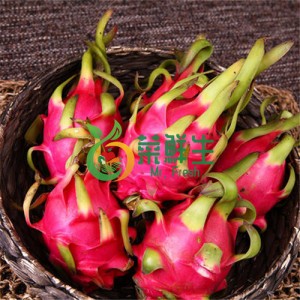 圖片 1