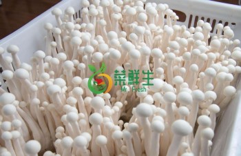 海鮮菇1包