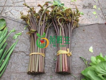 蕨菜500g