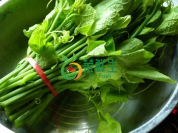 龍鬚菜500g