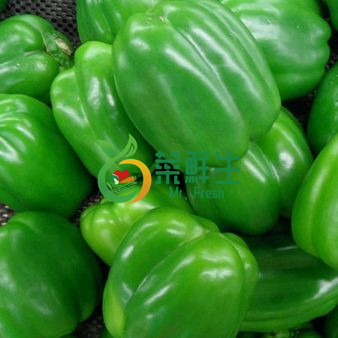 青燈籠椒250g