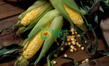 玉米1個