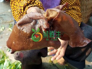 圖片 1