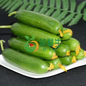 圖片 1