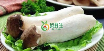 雞髀菇1包