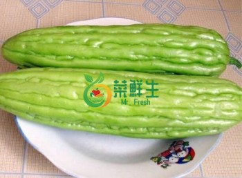 油苦瓜2條