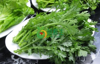 皇帝菜500g