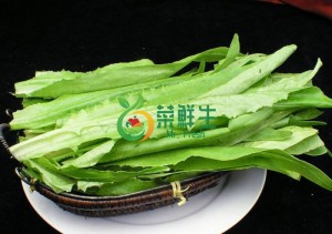 圖片 1