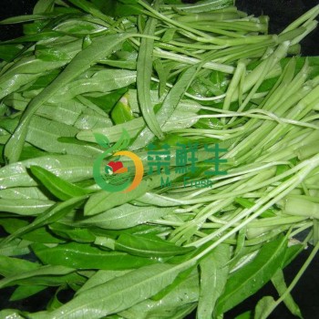 白通500g