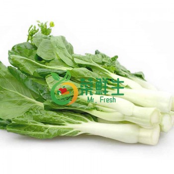 白心500g