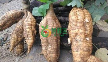 粉葛500g