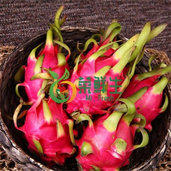 火龍果1個