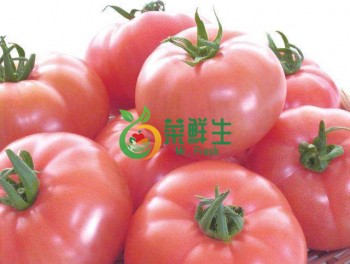 番茄500g