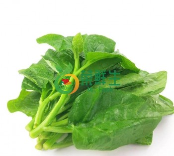 蠶菜500g