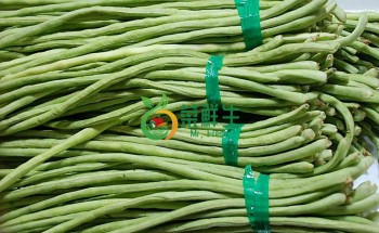 白長豆角250g