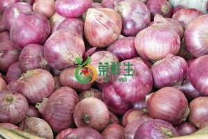 圖片 1