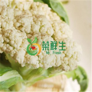 圖片 1
