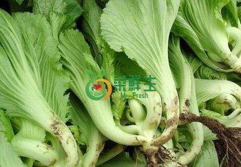芥菜500g