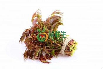 香椿250g