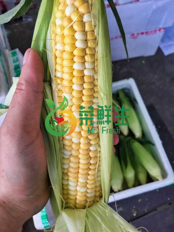 5e738bb20b34d.jpg