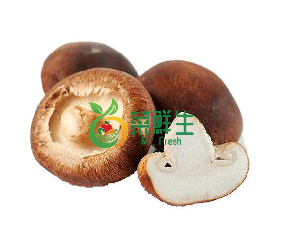 5e9ef9d9593e4.jpg