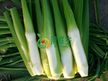 茭白500g