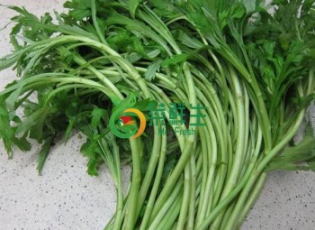 蘆蒿500g
