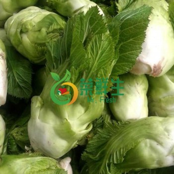 兒菜500g