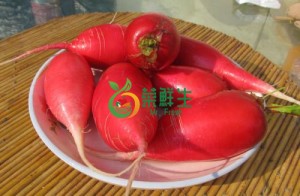 圖片 1
