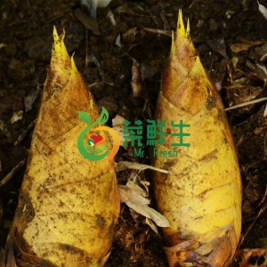 圖片 1