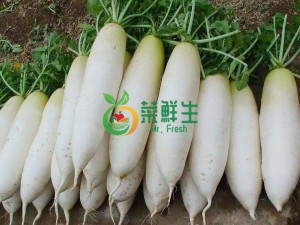 圖片 1