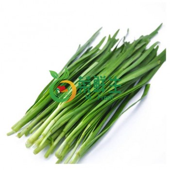 農家小韭菜（有機）500g