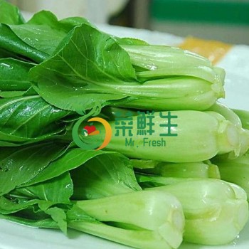 青仔500g