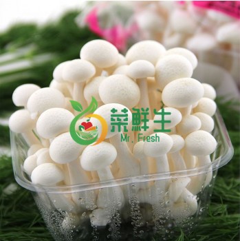 白玉菇1包