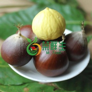 圖片 1