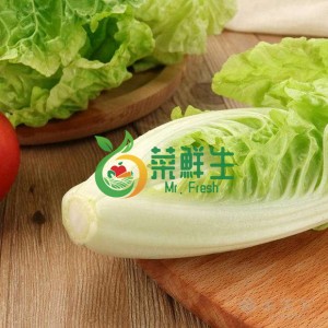 圖片 1