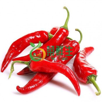 紅尖椒250g