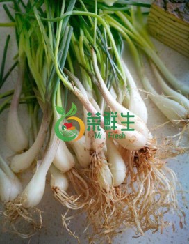 蕎菜250g