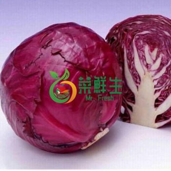 紫椰菜1顆